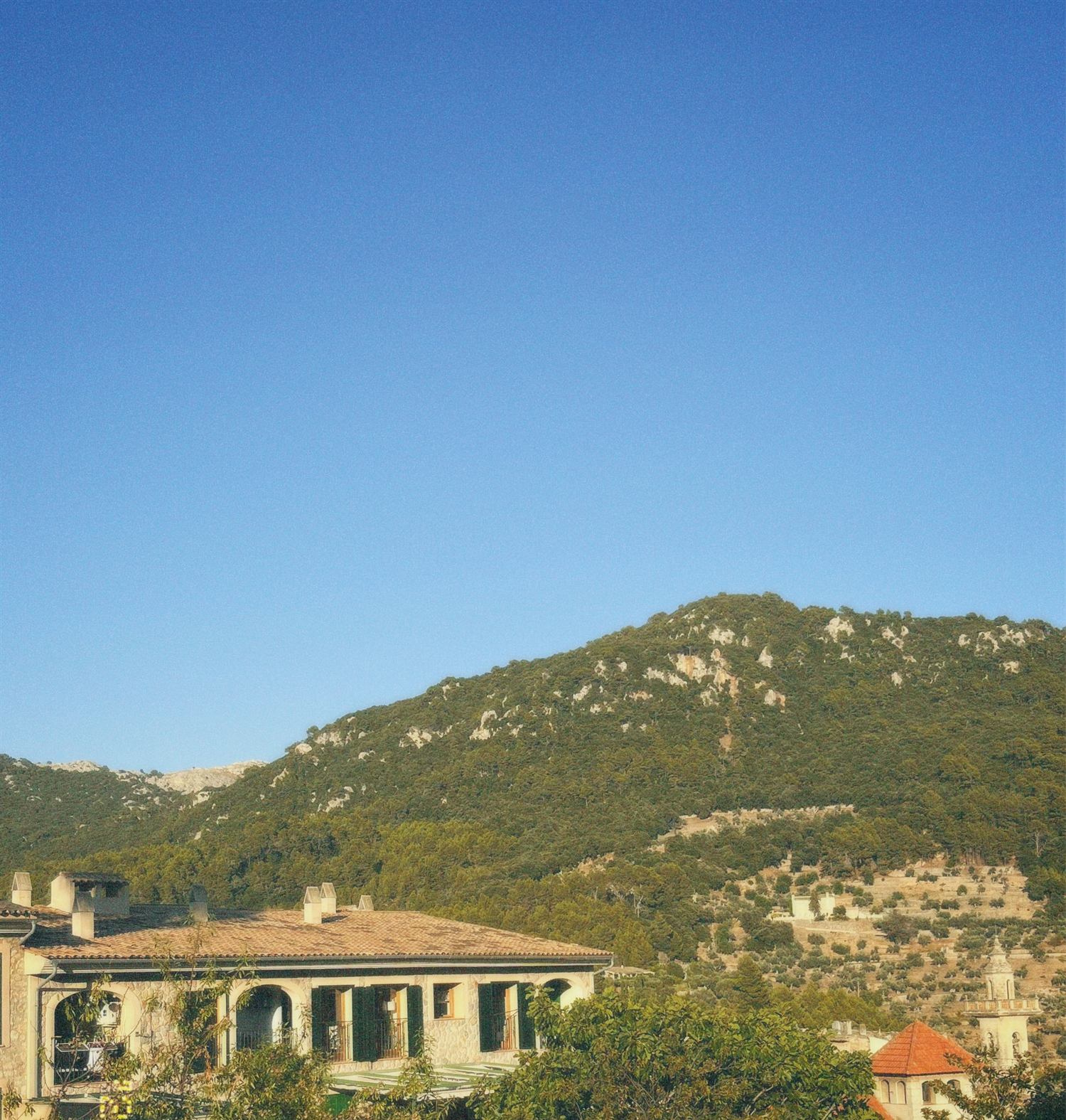 A house among pines on a Mallorcan hillside