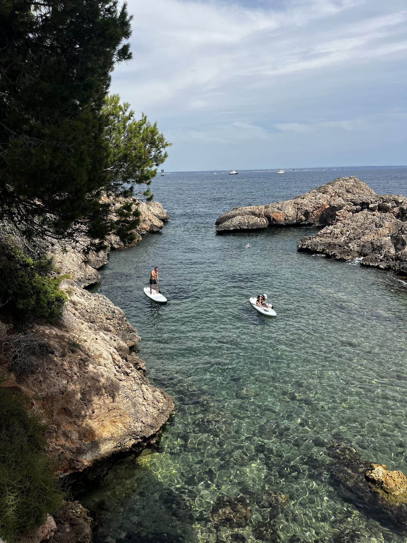 Two paddleboarders on clear turquoise water in a rocky Mallorcan cove, seen through pine branches