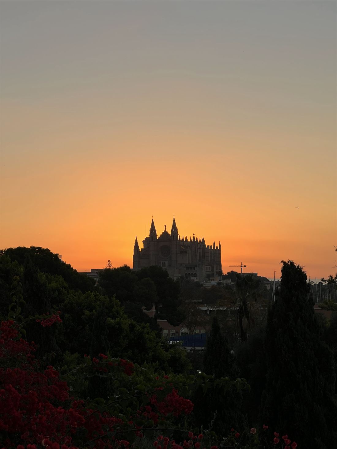 Palma Cathedral in silhouette against an orange sky at sunset