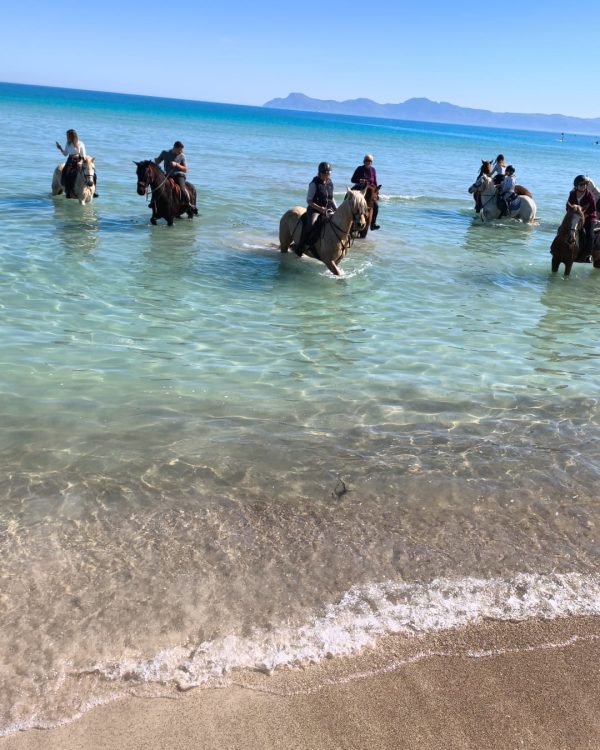Horse Riding Experience